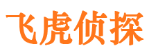 青白江市场调查